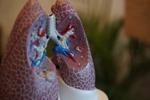 Cardiopatías Congénitas: síntomas, causas y tratamiento