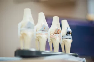 protesis rodilla